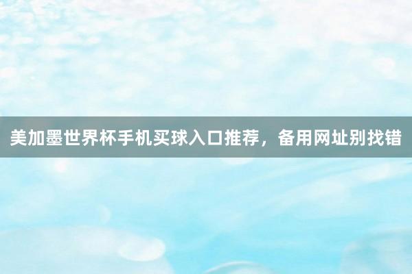 美加墨世界杯手机买球入口推荐，备用网址别找错